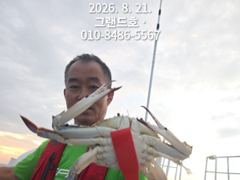 8/21일, 군산 주간꽃게 "난리입니다"~잘 나오고 있어요~실시… 사진