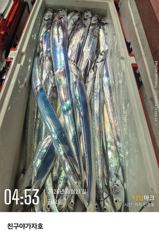 친구야가자호)바다에 대갈치 퍽퍽 오늘 1자리 예약문의 010-7443-7990 사진