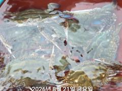 ⭐군산제일피싱호 꽃게자리 오늘자리 여유있네요 ⭐ 사진