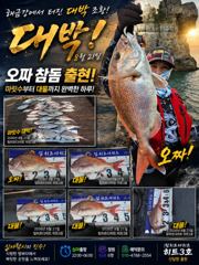 [거제] 심야선상/쏟아지는 대물들 마릿수로 폭팔!! 사진