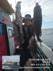 군산하이원호 6짜5짜등 포걸이 쓰리걸이 굿조황입니다~