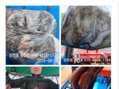 [사천] 문어조황굿{선비,5만 토,일,}자리널널 예약가능 사진