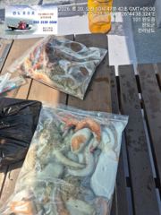 오늘   조황..... 사진