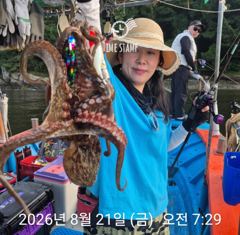 [사천] 문어 장원 27마리! 사진