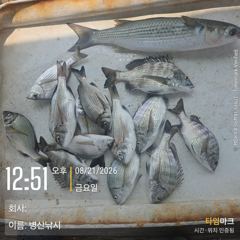[고성] 병산  8/21  감성돔 ,농어마리수 선외기 흘림조황~~ 사진