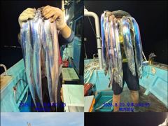 [통영] 통영백가피싱)이제  제대로 왕갈치사냥 시작!싸이즈 좋고/쉴새 없… 사진