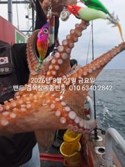 8월21일 군산 홈런호 야간 문어 출조 하였습니다.히트소리와 함께 문어들 올라옵니다.실시간 구경하세요 사진