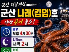 8/21 군산나래호(킹덤) 야간문어 실시간조황 23일 자리 여유있습니다 사진