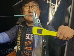 지금 대 갈치 출동