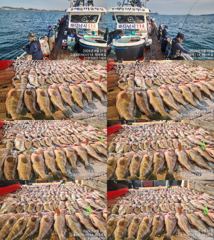 ♥붉바리들~ 이정도는 잡아봐야지요 대박 붉바리조황입니다 [2026년08월21일] ◎ 해마루호가 뜨는이유? 조황때문이죠 ◎ 핵심포인트: 바로진입.. 바로히트.. ▣ 차원이 다른 조황으로 모십니다 ▣ 요즘 붉바리낚시가 대세입니다 사진