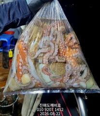 야간돌문어&팁런무늬오징어 21일 소수인원모시고 다녀왔습니다 사진