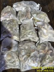 8월 21일 군산 뉴블루스타호 야간 꽃게 낚시 대박 현지 조황.   사진