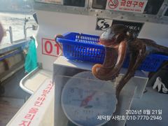 "여밭돌문어" 1200g외 개인16수15수12수외 연이은 3자릿수 팍~팍~ (월 예약가능) 사진