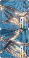 [통영] 통영 뉴 아시아호>>  대박!! 70리터 얼음 녹이고 만쿨까지~…