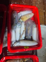 [고성] 욕지권 무늬 팀런 다녀왔습니다 사진