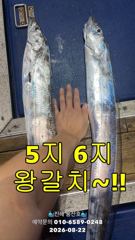 "먼바다"갈치텐빈" 5지~6지~ 용가리 등장~!!(예약가능합니다) 사진