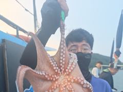 <여수청홍낚시>다음 주 물심 기대! .8월21일 여수 야간 문어낚시 조황 소식! 사진