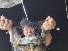 ⭐군산리더호 꽃게 출조 급하게 합니다⭐ 사진