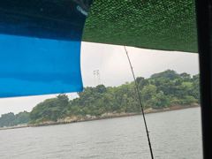 [사천] 실시간 돌문어 굳~^^ 사진