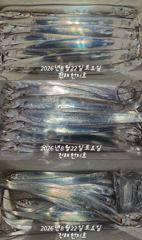 [진해] 내만갈치 씨알급으로 손맛보고~~~~예약가능