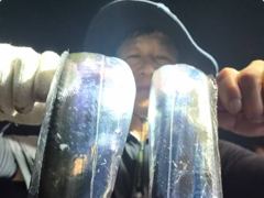 준내만갈치~빵좋은 대갈치!쿨러가득(월요일예약가능) 사진