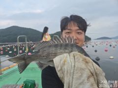 35전후마릿수  진행중 오전낚시 사진