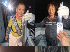 [진해] 내만갈치 많타많아~~시알 좋고~~손맛 짱짱~일요일 예약가능