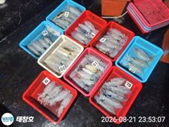 》21일야간 최종!《 무늬 뽁뽁! 싸이즈 굿! 마릿수! 사진