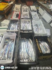 원도권텐빈 출조함니다 사진