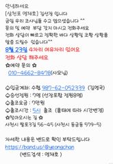 [영채호] 8월 22일 문어 선상낚시 출조 조황입니다 사진