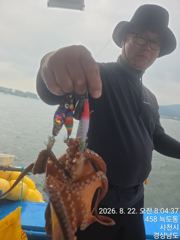 내만 돌문어 조황 내일 예약 중 사진