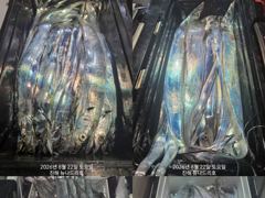 [진해] 준내만 갈치 4지 쌍걸이까지 ?미치것네~~(화욜부터 예약  가능…