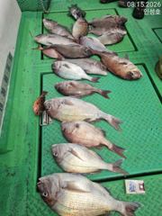[거제] 참돔 거제인성낚시 사진