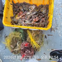[사천] 암초 포인트 문어 낚시 사진