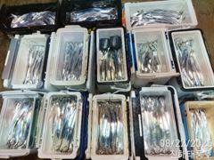 22일새벽 내만갈치 3지급까지 마릿수도 많아요. 일요일부터 예약가능. 사진