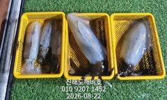 무늬오징어 팁런 일요일 예약가능합니다 사진