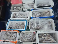 조황정보 - 8/22 백조기 조황 - 무창포선상낚시 사진