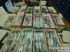 <여수뉴피닉스호> 씨알좋은 갈치출조 계속 좋은조황입니다. 24일(월)부터 자리있습니다. 010 7178 3800