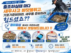 오늘의조황 - [ 청마호 ] 8월 21일 [ 사이즈 좋다 !! 개.우럭 + 대.농어 외수질 ] [ 인천배낚시 청마피싱 / 인천선상낚시 / 인천낚시배 ] - 인천 영종도 선상낚시 청마피싱,피싱스토리 사진