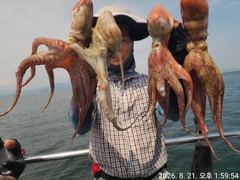 21일세진호/돌문어kg.마릿수많이자고~월.가능~ 사진