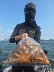 8월 22일 문어조황 사진