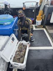 0822 꽃게 만쿨 사진