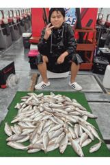 [백조기조황] 8월22일 백조기 조황 (굿~!!굿!!) 사진
