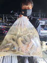 삼천포 마린보이 8. 22. 야간문어 뜯고 왔습니다. 사진