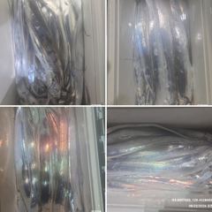 [ 갈치 텐빈 텐야 ] 통영 먼바다 조황 사진