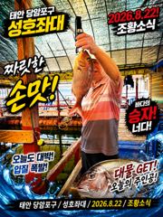 오늘의조황 - 8.22 성호좌대 조황소식 - 성호바다좌대 사진