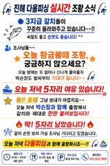 진해♡다올피싱)22일 실시간 조항 ~~ 사진