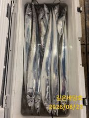 [제주 깊은바당호] 8월 22일 갈치 조황입니다 사진