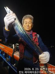 진도제이제이 8월22일 대갈치 쿨러가득 도전 조황입니다