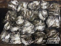 [군산] 22일 야간 홈런호 꽃게 왕망태기 마무리 조황 사진